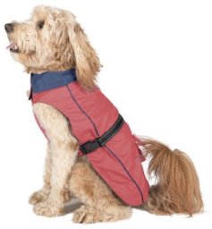 Płaszcz przeciwdeszczowy dla psa Dog Gone Smart Koral 50 cm
