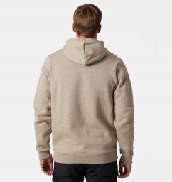 Jumper HELLY HANSEN Graphic Sweatshirt, green M