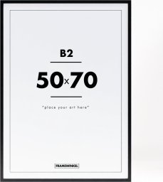 Pagaminta Lietuvoje Rėmas 50x70, 1218 juodas