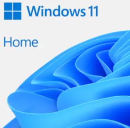 MS FPP WIN Home 11 64-bit German 1 License USB Flash Drive (DE)