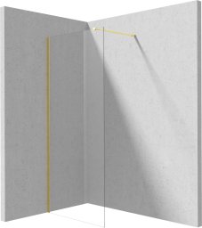 Deante Ścianka prysznicowa walk-in 70 cm
