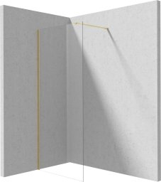 Deante Ścianka prysznicowa walk-in 70 cm