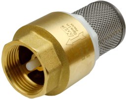 CHECK VALVE 4117025 1 IN WITH FILTER