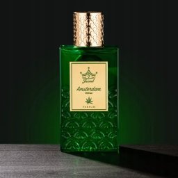 JAZEEL Amsterdam Intense Parfum spray 100ml