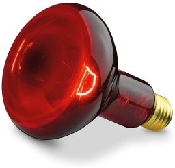 Infrarød pære 100 W