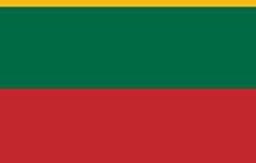 MAGNETIC STICKER LT FLAG