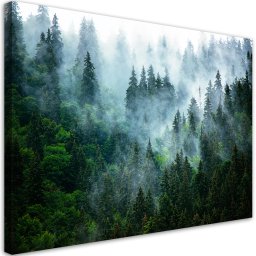 Paveikslas, Miškas rūke peizažas 60x40 cm