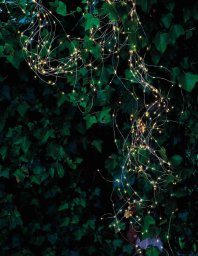 Sirius Home Knirke, Light decoration chain, Green, Transparent, Ambience, Green, 500 bulb(s), LED
