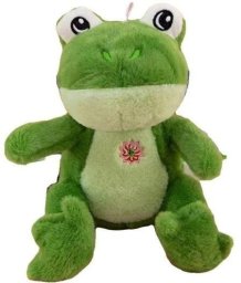 Żaba