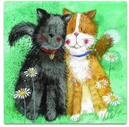 Magnes FM190 Koty Toffee i Treacle