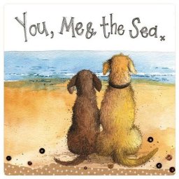 Magnes FM231 Ty, ja i morze