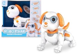 Robo-psiak R/C