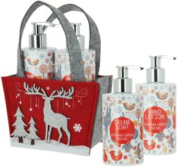 Vivian Gray Christmas Zestaw do pielęgnacji rąk2x250ml