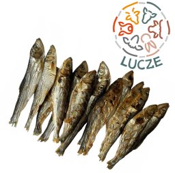 Lucze szprotka suszona przysmak 100% naturalny 500g