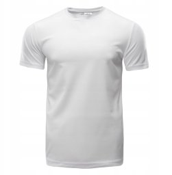 Męska Koszulka z krótkim rękawem DILLION