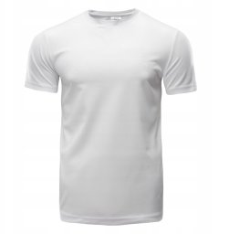 Męska Koszulka z krótkim rękawem DILLION