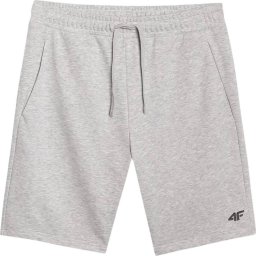 Spodenki męskie 4F CAS M543 szare 4FWMM00TSHOM543 27M 2XL