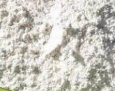 NO PEST Diato Powder diatomit worek 10kg (diatomit)