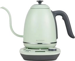 BUYDEEM Czajnik typu Gooseneck z regulacją temperatury, K821, kolor Cozy Greenish, EU