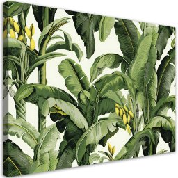 Feeby obraz na płótnie zielone liście bananowca 60x40 medium