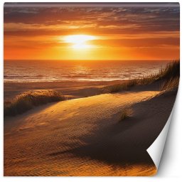 Feeby Fototapeta Zachód Słońca Plaża Natura 100x100 small