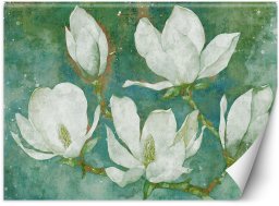 Feeby Fototapeta Kwitnące magnolie abstrakcja 250x175 medium