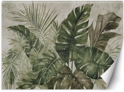 Feeby Fototapeta Tropikalne liście monstery 450x315 xxl