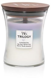 Świeca Zapachowa WW Trilogy EVENING LUXE elipsa drewniany knot
