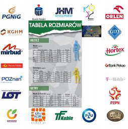 Nike Koszulka Polo PSG DF 2.0 ESN FZ7245-410