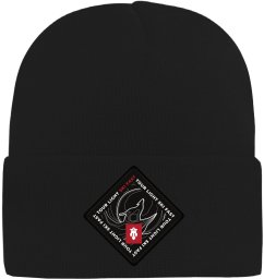 Czapka zimowa Majesty Beanie Ski Fast - black