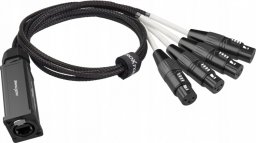 Adapter AV Roxtone Konwerter adapter DMX żeński na RJ45 żeński Roxtone PS4F