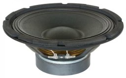 Głośnik do zabudowy 10'' 300W 4 Ohm SP1000A Skytec one size