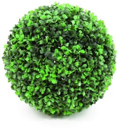Bukszpan kulisty śr. 25 cm one size