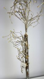 Jodła jagodowa, biała, 120cm one size