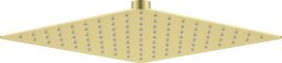 Głowica prysznicowa stalowa - 250x250 mm