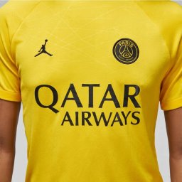 Nike Koszulka PSG DF Academy Pro SS Top PM 4TH DR4906 720