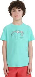 Koszulka dla chłopca 4F M1917 miętowa 4FJWSS25TTSHM1917 47S 146cm