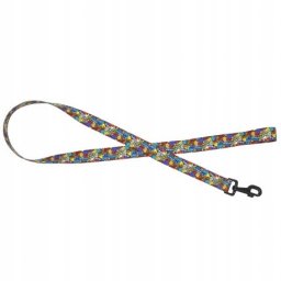 Smycz dla psa ta�ma Dream Party, 20mm/120cm