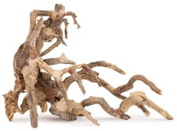 Ton�ce drzewo Bonsai nr 64 50x40