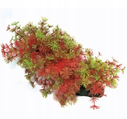 Krist+ Aqua Natura, ro�lina, do dekoracji akwarium, zielono-czerwona, plastikowa, 23 cm , bardzo g�sta w drobne li�cie
