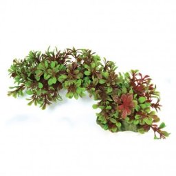 Krist+ Aqua Natura, ro�lina, do dekoracji akwarium, zielono-czerwona, plastikowa, 23 cm , w kszta�cie �uku