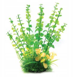 Krist+ Aqua Natura, ro�lina, do dekoracji akwarium, zielona, plastikowa, 31 cm , d�ugie �odygi i drobne li�cie