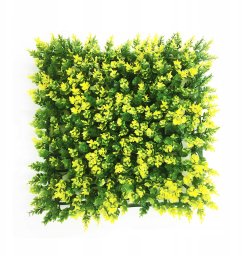 Aquael Aqua Natura, ro�lina, do dekoracji akwarium, zielono-��ta, plastikowa, 25 cm x 25 cm , morski dywan