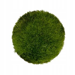 WIO Cushion Moss , mech dekoracyjny, do terrarium, ciemna ziele�,  0,095kg