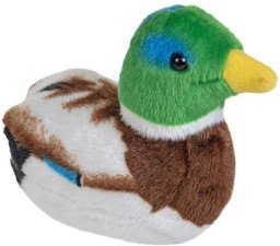 Maskotka Kaczka krzyżówka z dzwiękiem