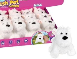 Piesek z naciągiem macha ogonkiem 22845