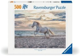 Puzzle 2D: Galop na plaży 500el