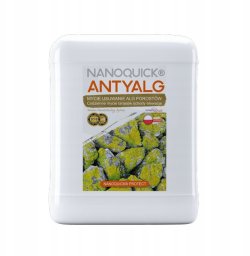 Mycie Usuwanie Zielonych Nalotów Kostka Elewacja NANOQUICK Antyalg 20L