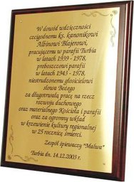 Tryumf Podkład z tworzywa sztucznego 180x130 kolor brąz EX151