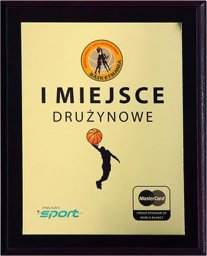 Tryumf Podkład z tworzywa sztucznego 200x150 kolor brąz EX152